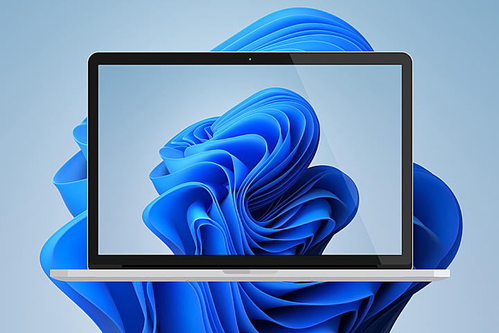 Windows11 内置原生壁纸 - 电脑壁纸 - 致美化